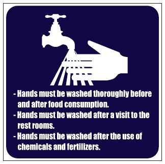 Hand Wash Rules