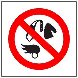 No Loose Clothing