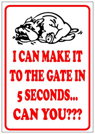 Beware Dog